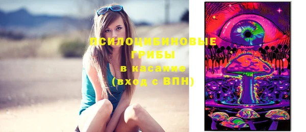 прущие грибы Абдулино