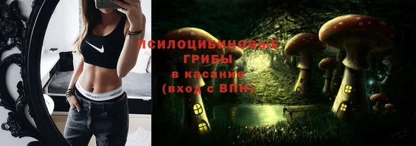 тгк Абинск