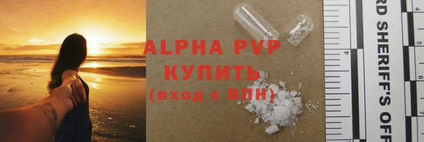 прущие грибы Абдулино