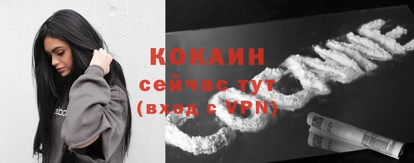 тгк Абинск