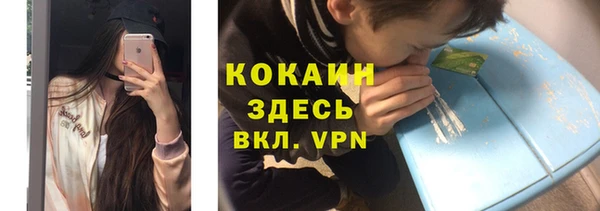 прущие грибы Абдулино