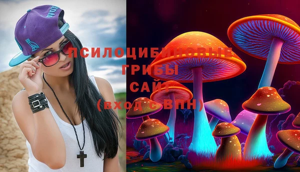 тгк Абинск