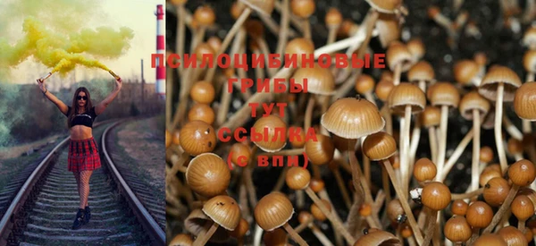 тгк Абинск