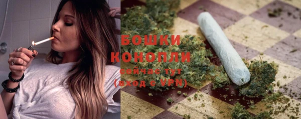 прущие грибы Абдулино