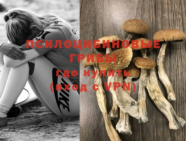 эйфоретик Абаза